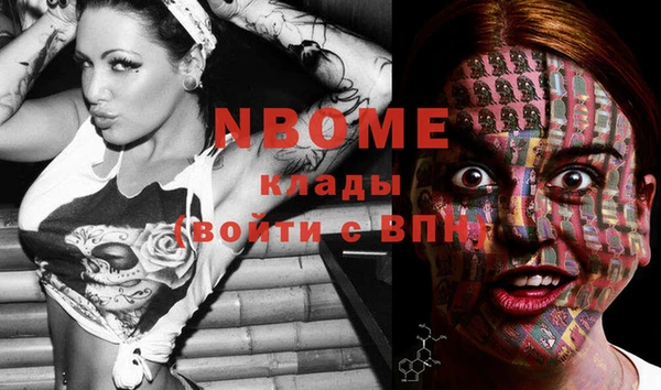 СК Михайлов