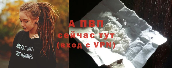 СК Михайлов
