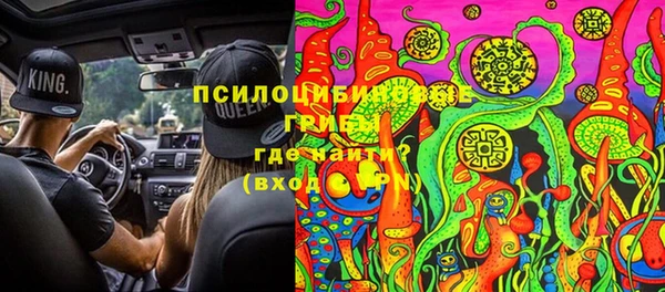 a pvp Михайловск