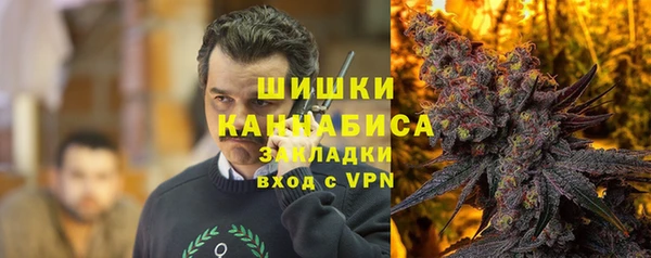 СК Михайлов
