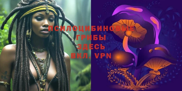 a pvp Михайловск