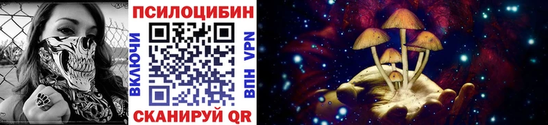 дарнет шоп  OMG как войти  Галлюциногенные грибы Magic Shrooms  Шумиха 